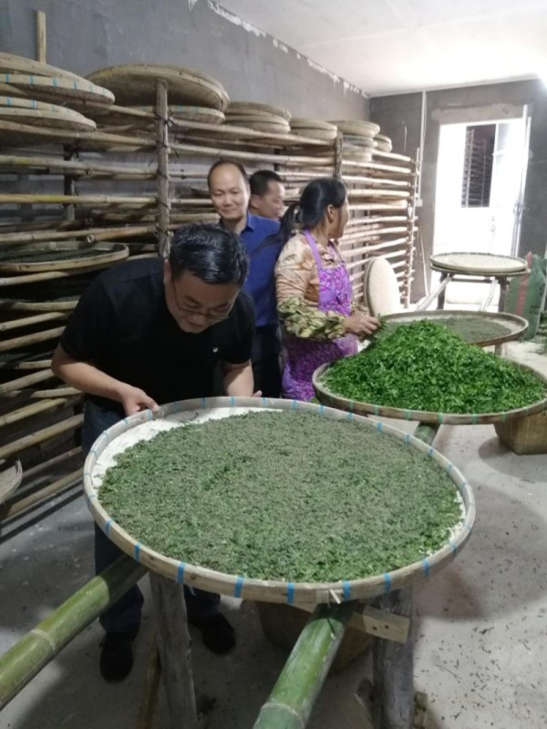 考察岑山村新丝路蚕业合作社2.jpg